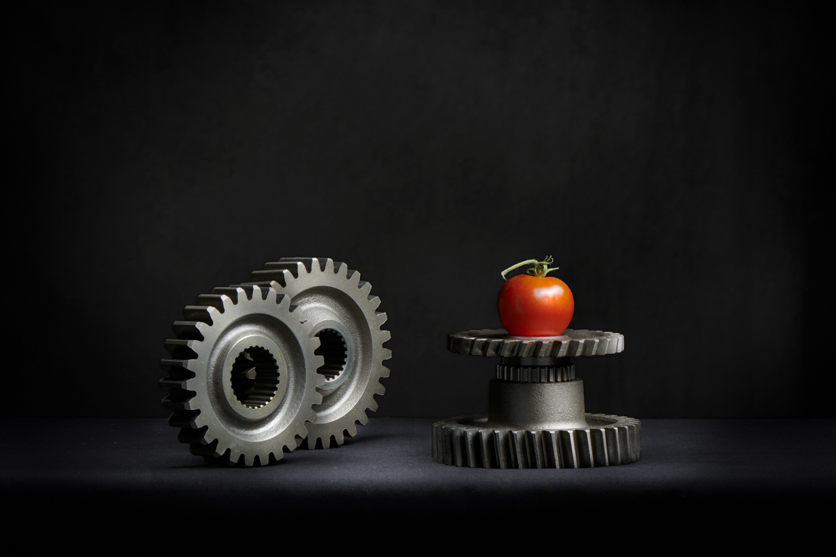 Gears_tomato_Jan_21