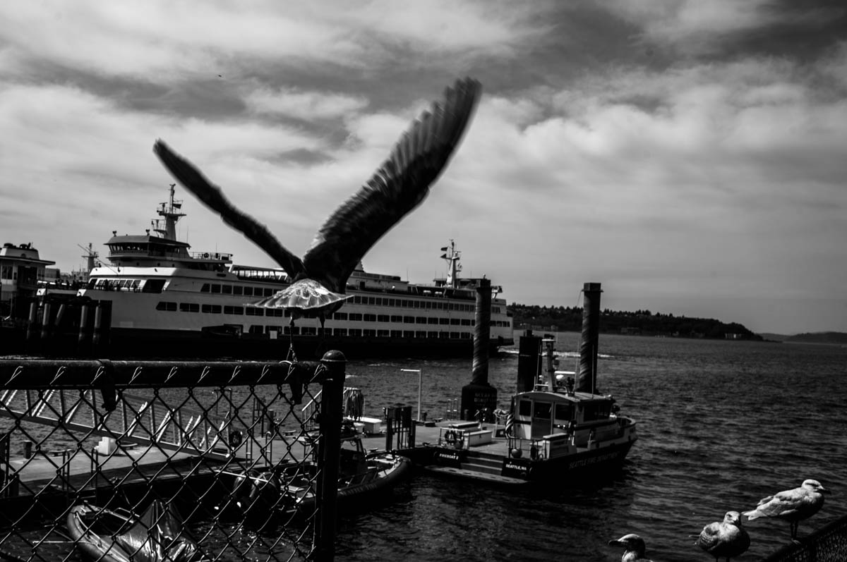 seattle7